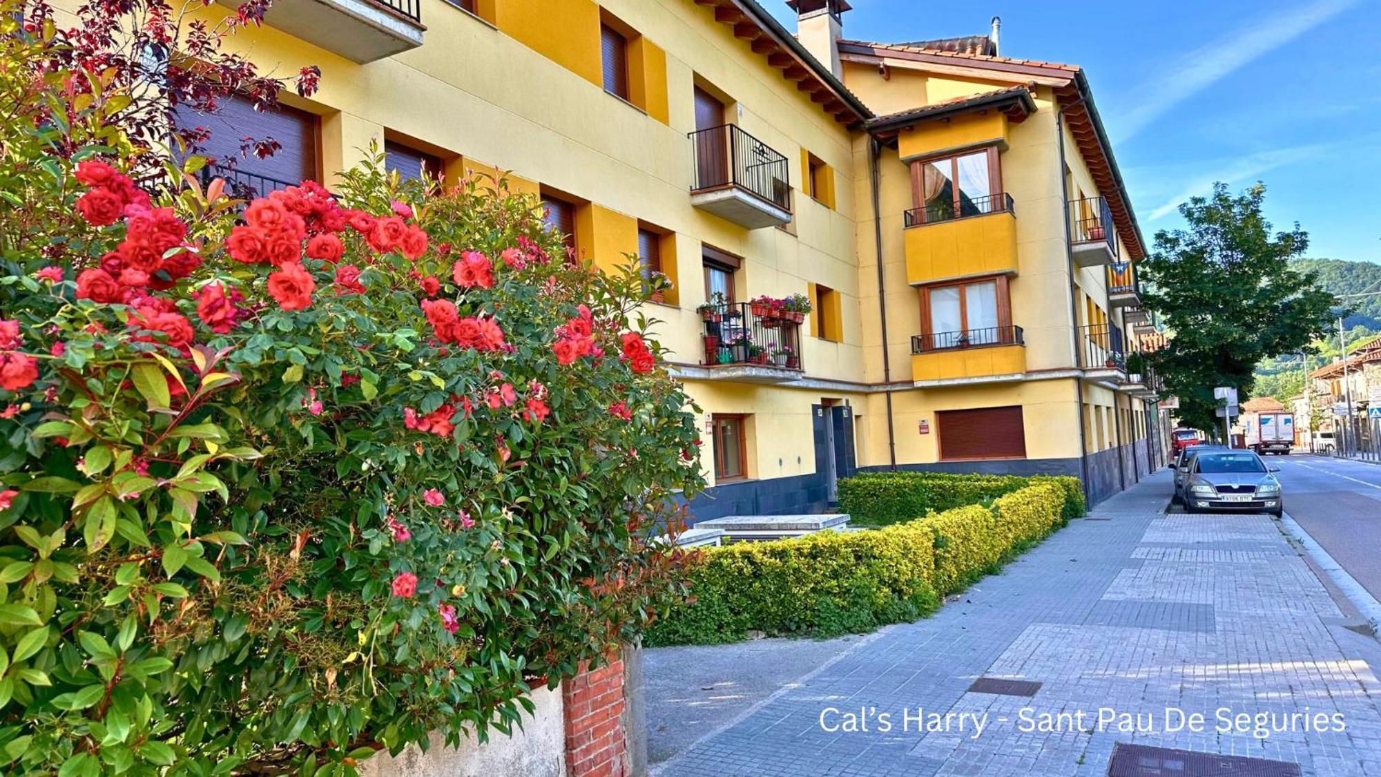 Apartment Cal Harrys - La Mejor En Pyrenees Con Vistas A La Montana Sant Pau de Segúries